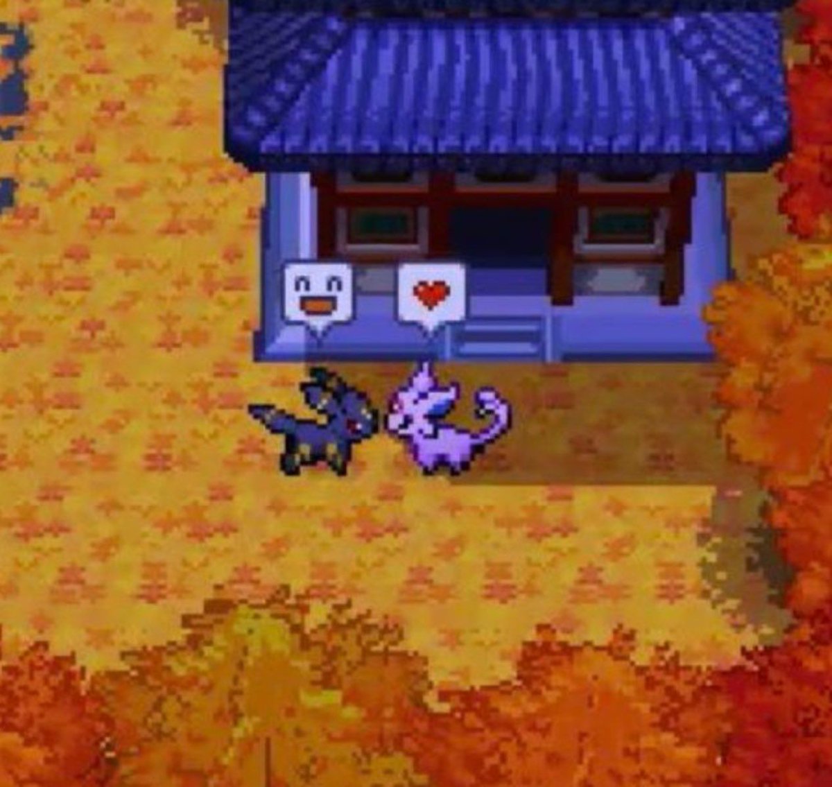 Pokémon Daily tweet media