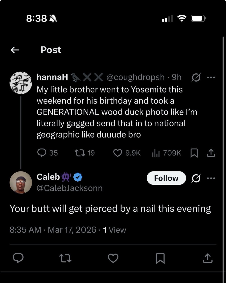 hannaH 🐦‍⬛✖️✖️ tweet media