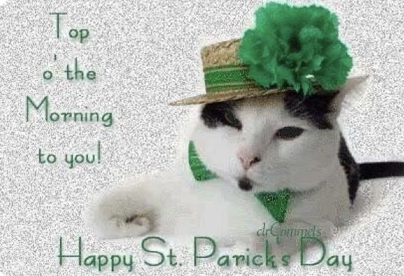 Happy Tuesday! 💚