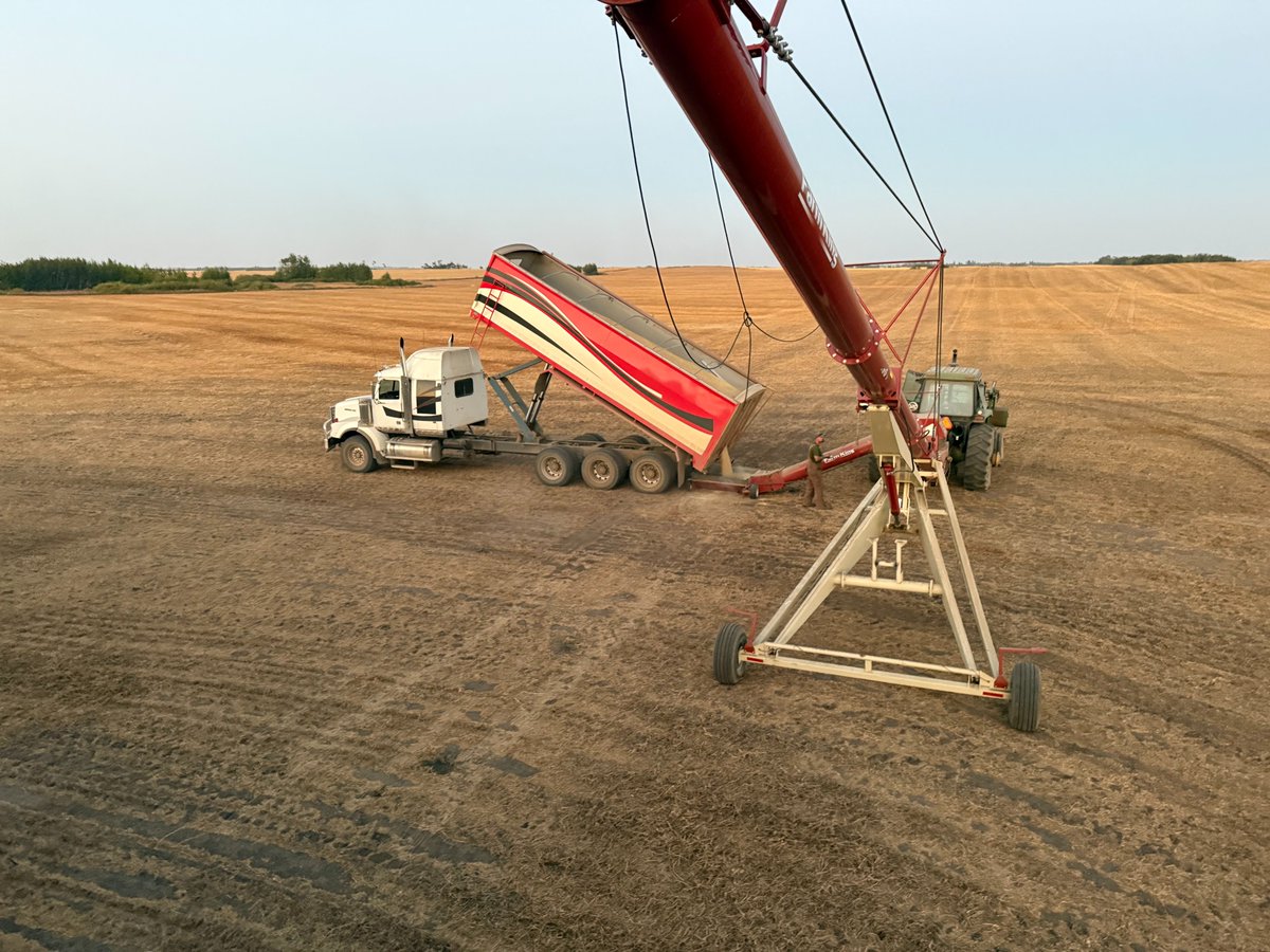 Devan Lewis tweet media