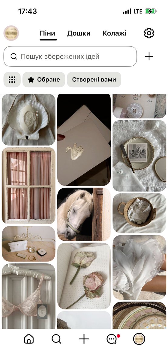 еліс ۶ৎ tweet media