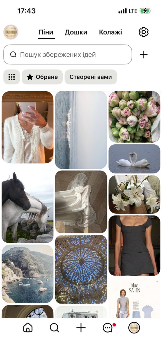 еліс ۶ৎ tweet media