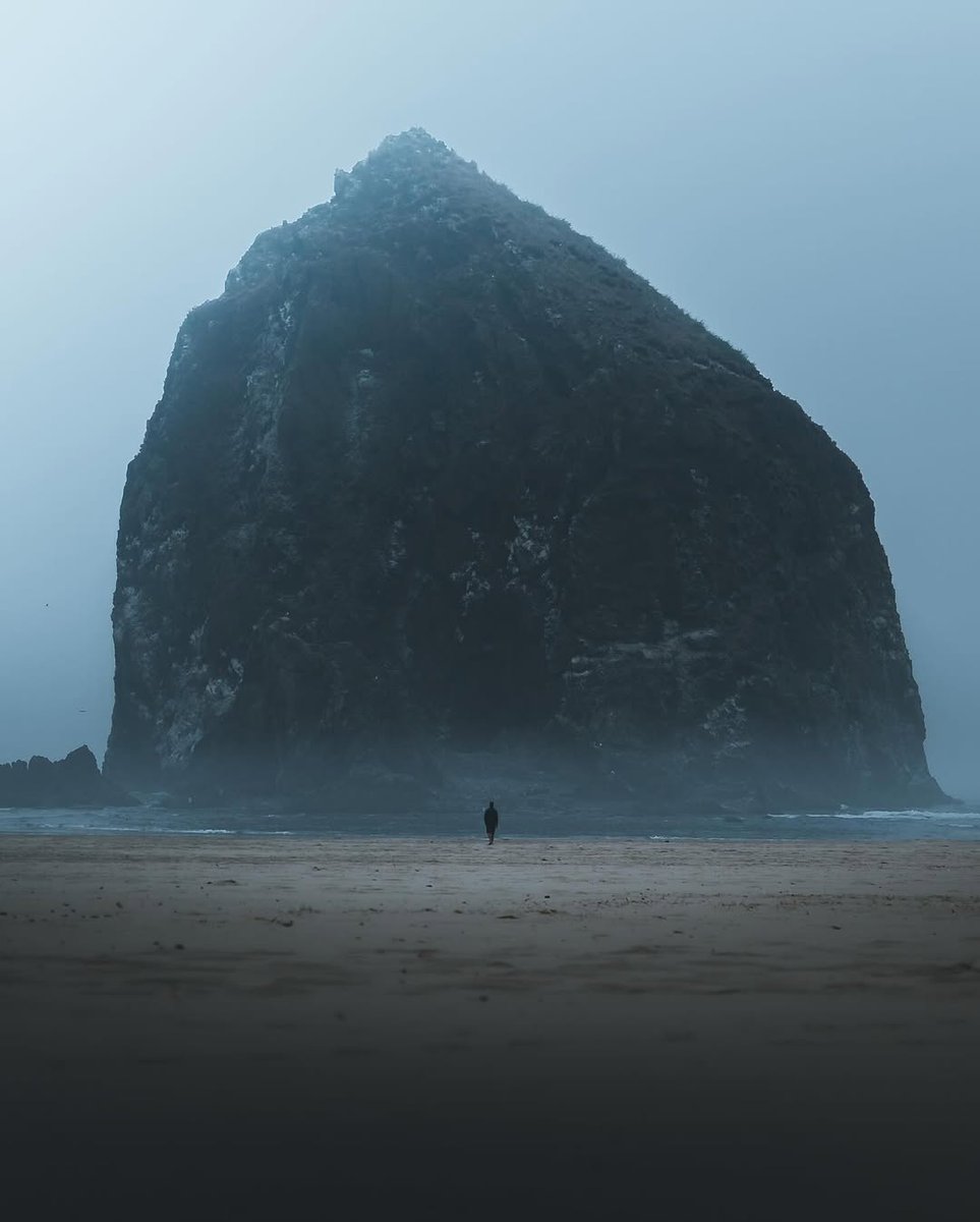 Beauty Explorer tweet media