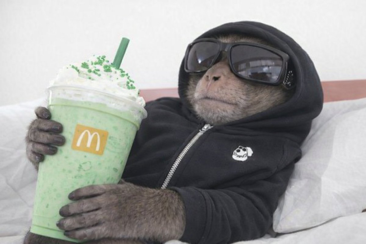 Bored Ape Yacht Club 🍌 tweet media