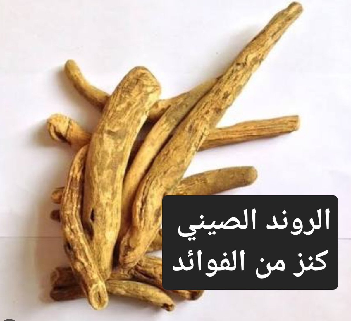 د. محسن نادي- Dr. Mohsen Nadi tweet media