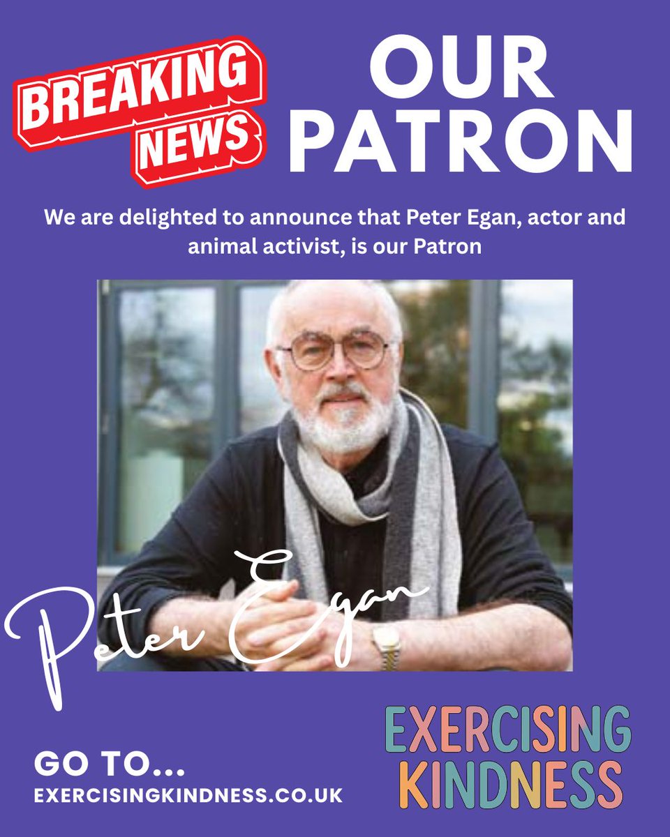 lynne chitty tweet media