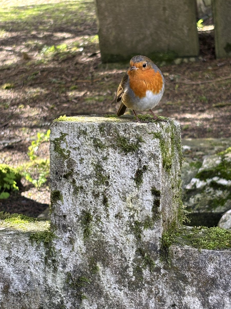 robyn 👼 tweet media