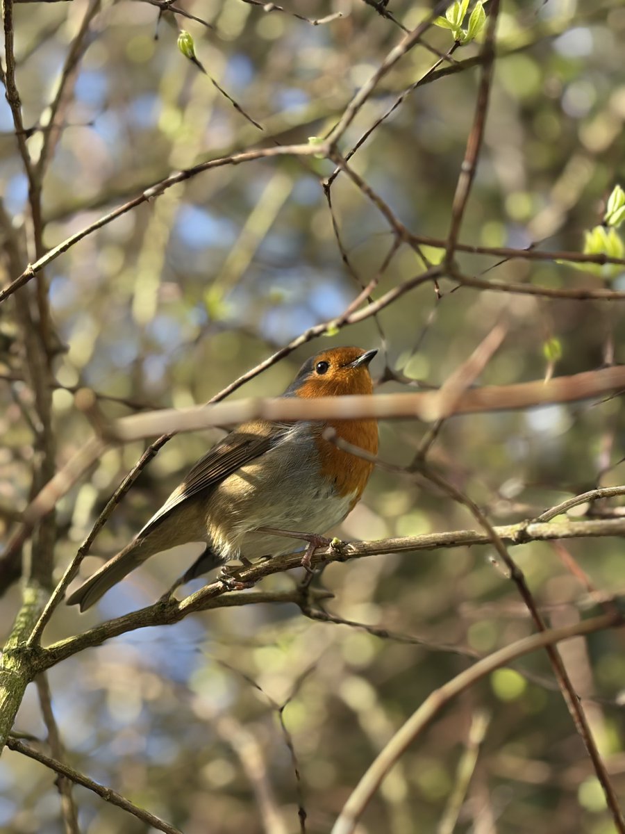 robyn 👼 tweet media