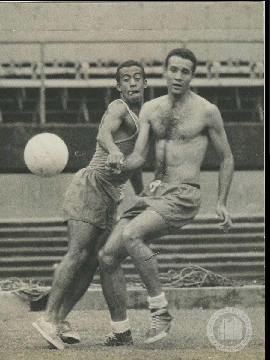 Procópio Cardozo tweet media