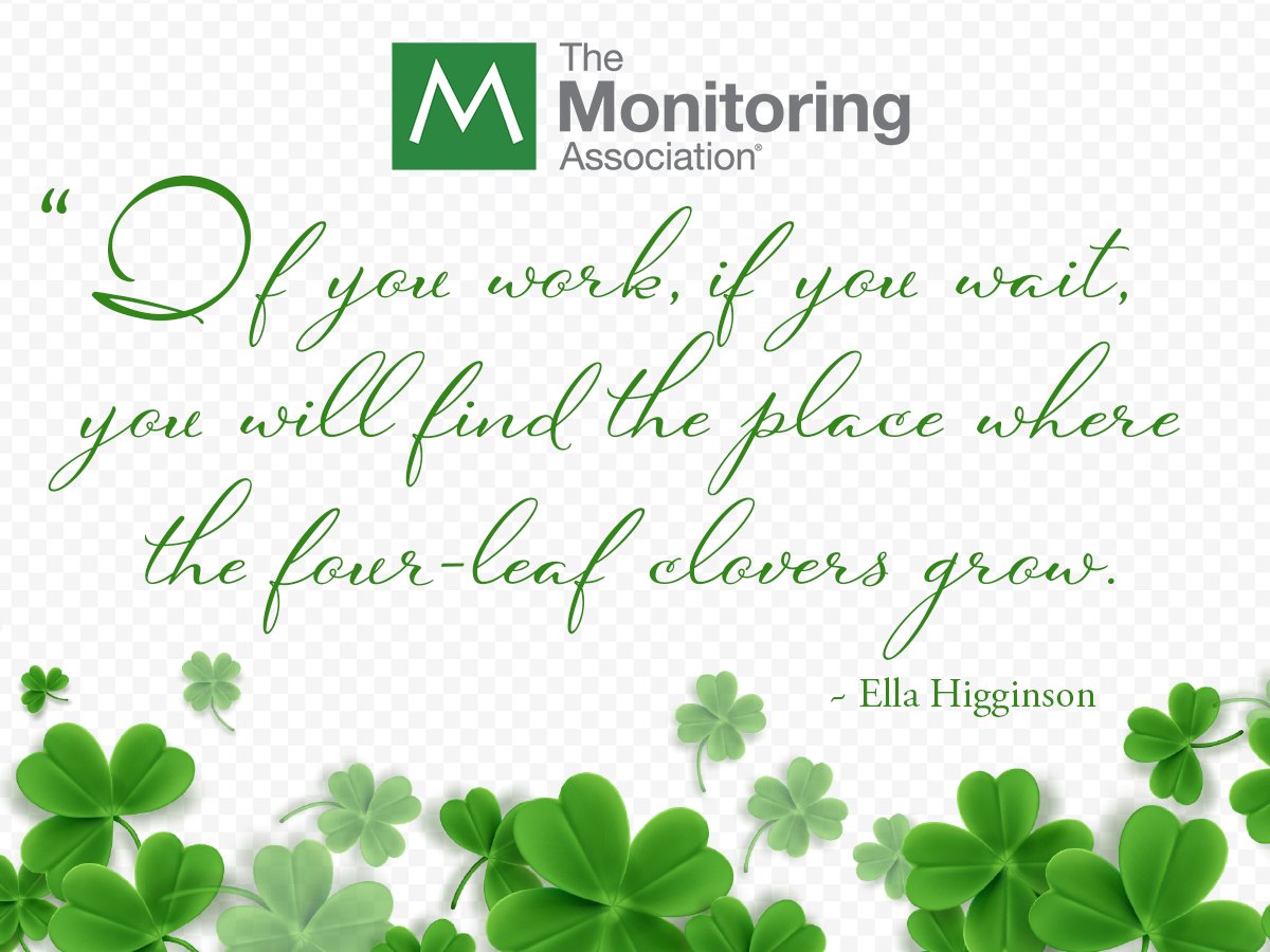 The Monitoring Assoc tweet media