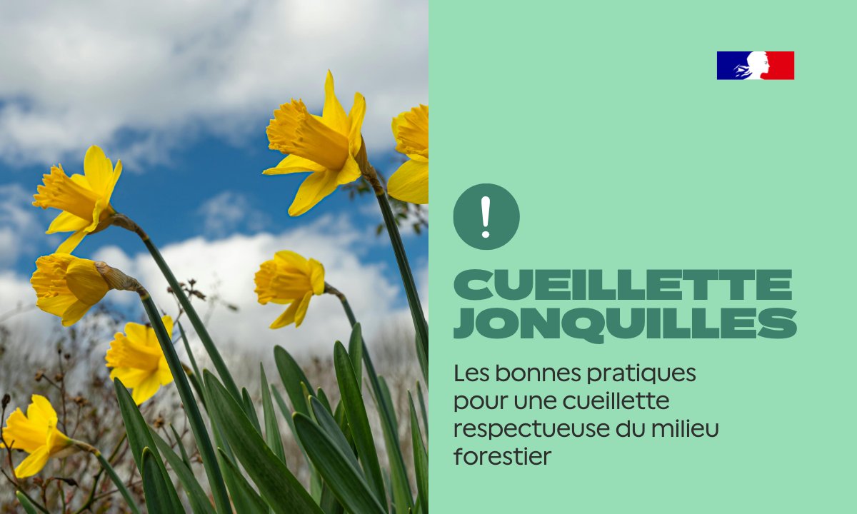 Préfète de la Savoie 🇫🇷 tweet media