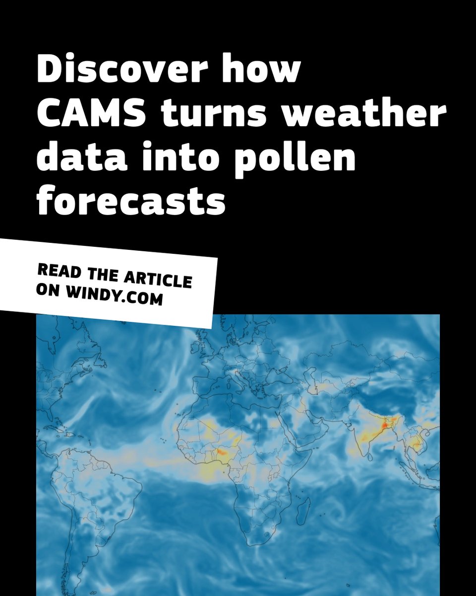 Copernicus ECMWF tweet media