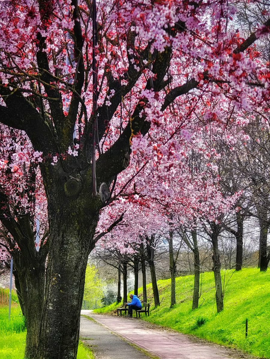 inEmiliaRomagna tweet media