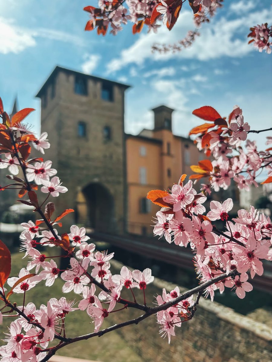 inEmiliaRomagna tweet media