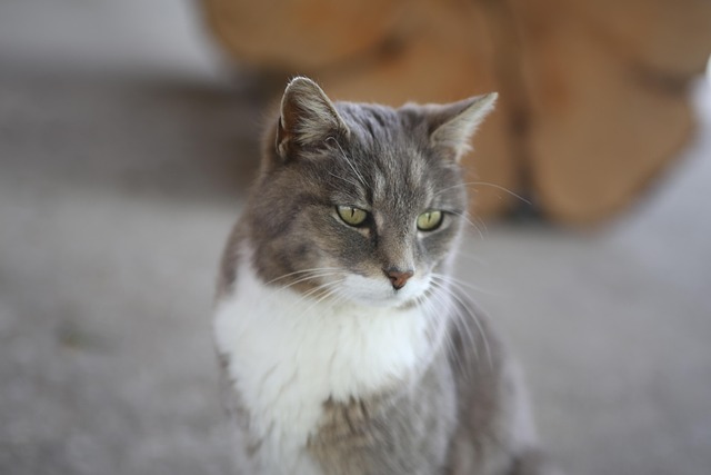 นวดสุราษ ไอดีไล. u 3 6 5 2 #นวดสุราษฎร์ธานี ไม tweet media