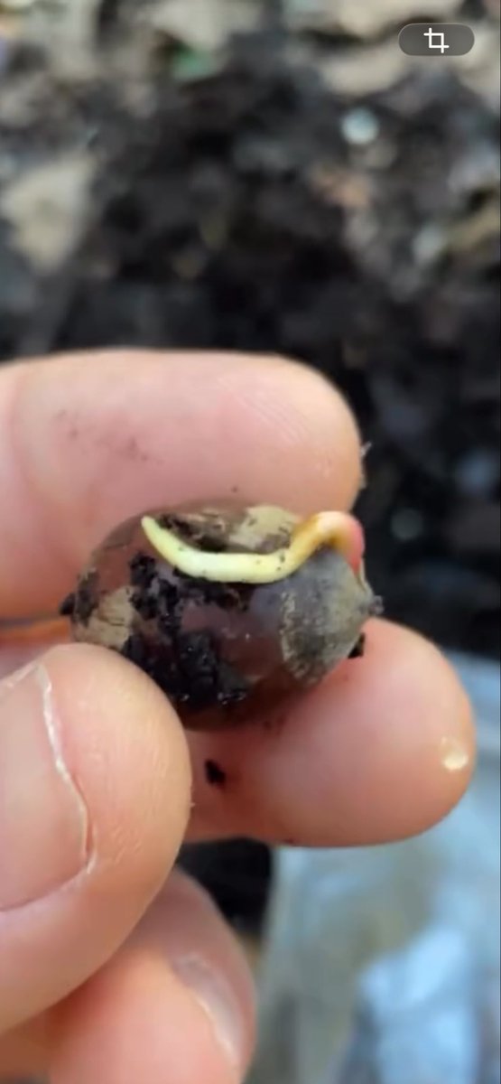 ₿itNik ✮⚕️ tweet media