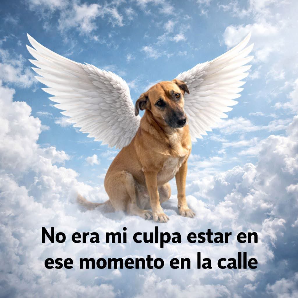 Asociación de pelones sabelotodo. tweet media