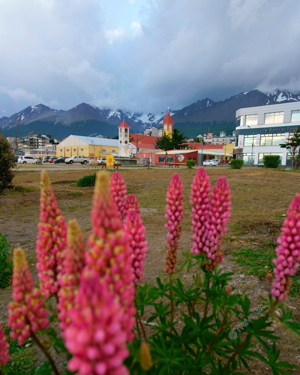 Travolax | Always Traveling tweet media