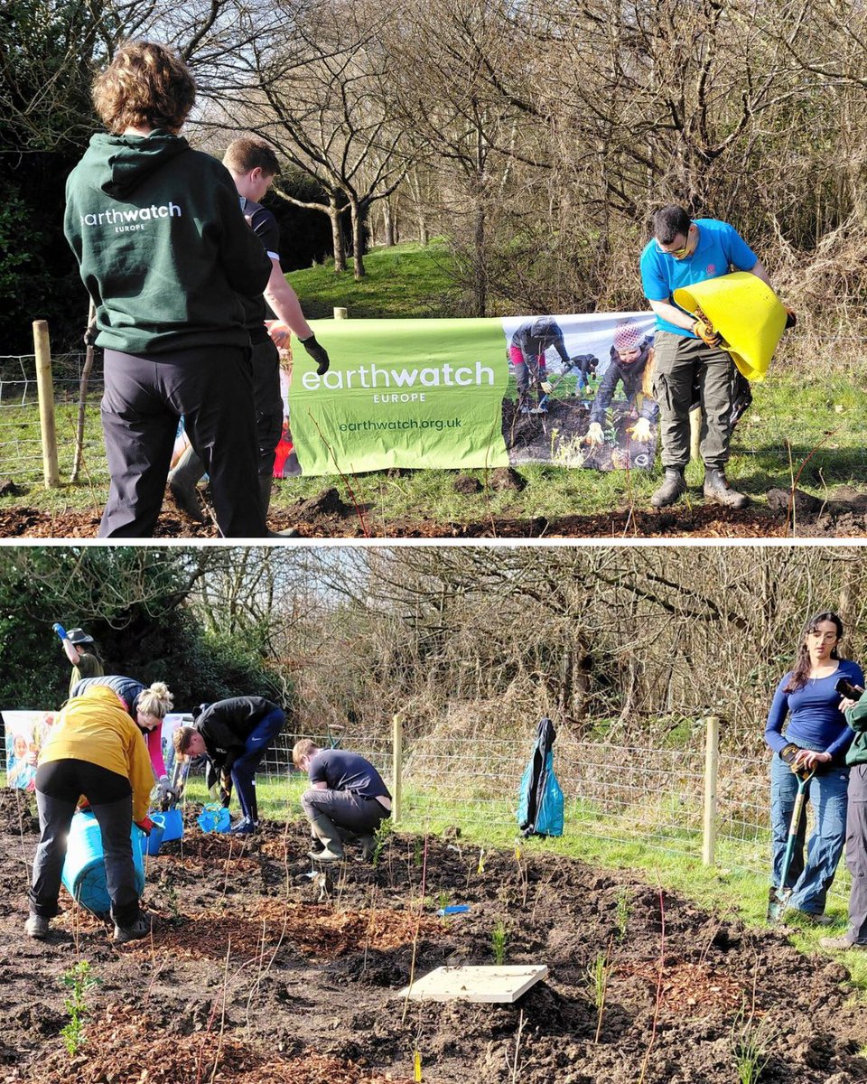 Oh Yes! Net Zero tweet media