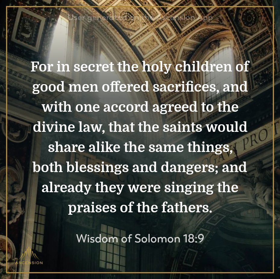 David 🇻🇦☧ tweet media