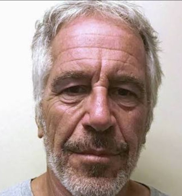 DoutorGoriBR tweet media