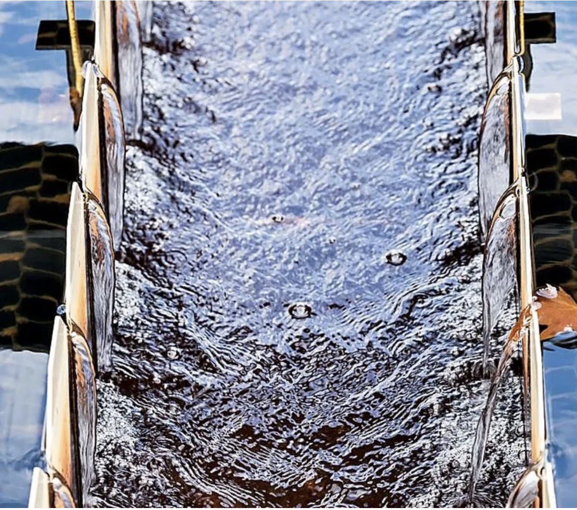 AquaVall 💧 tweet media