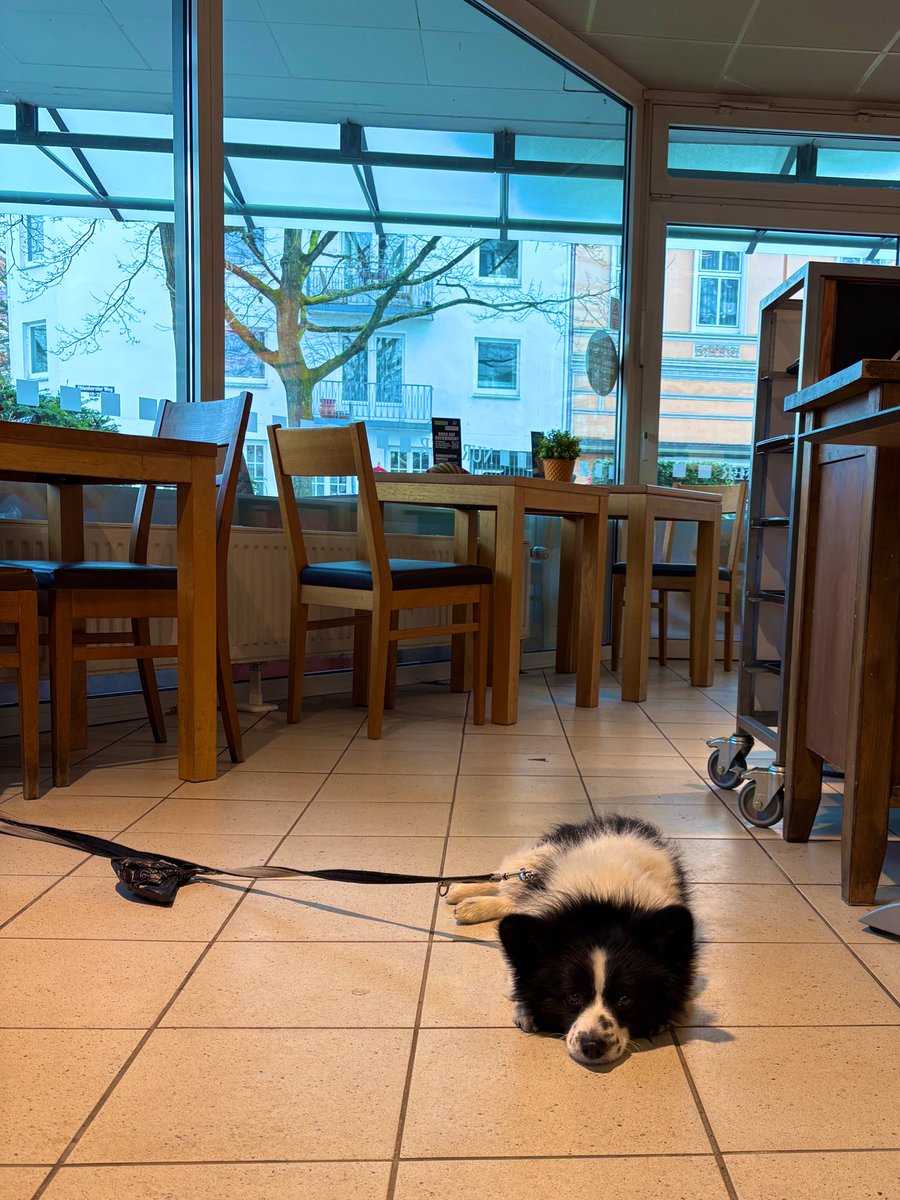 まんだむ tweet media