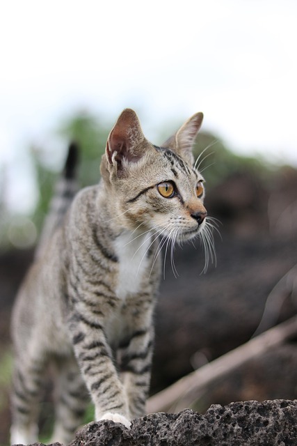 When Lights Go Off 🌙 tweet media