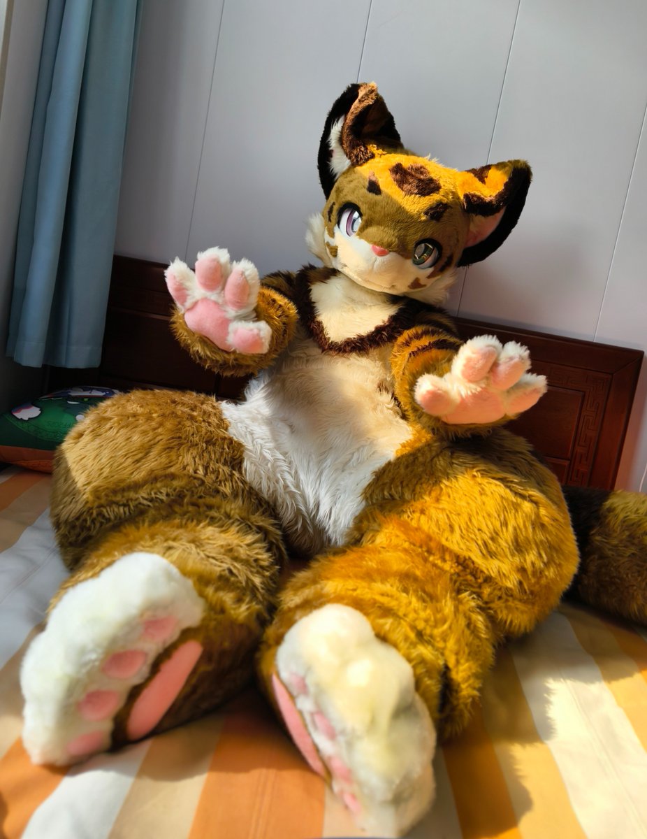 WildNo96🔜 ？ tweet media