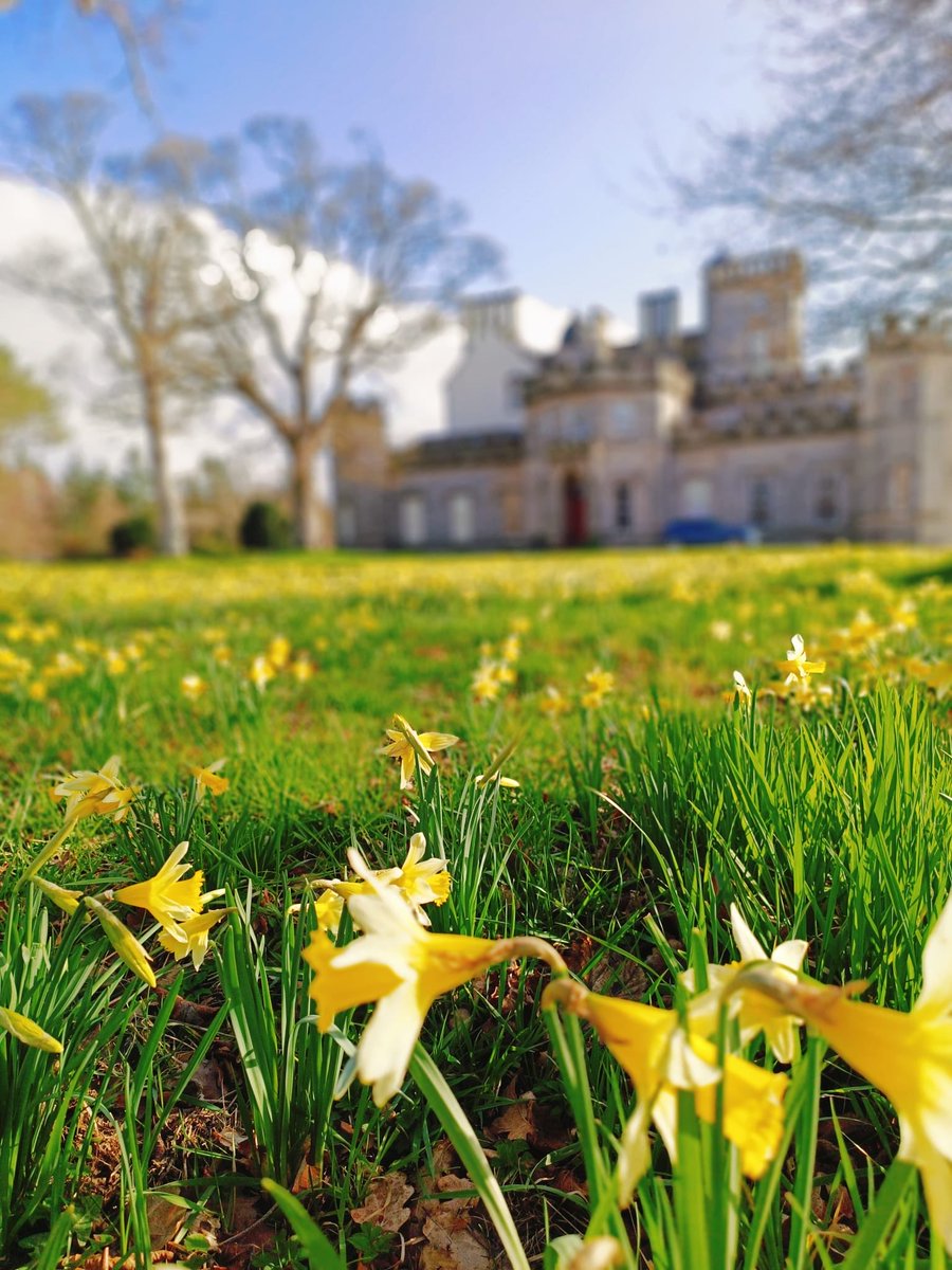 Winton Castle tweet media