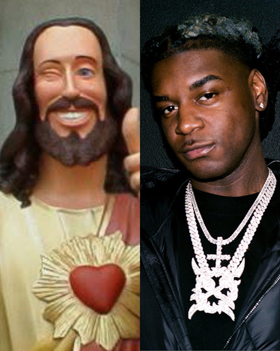 TurtleHype tweet media