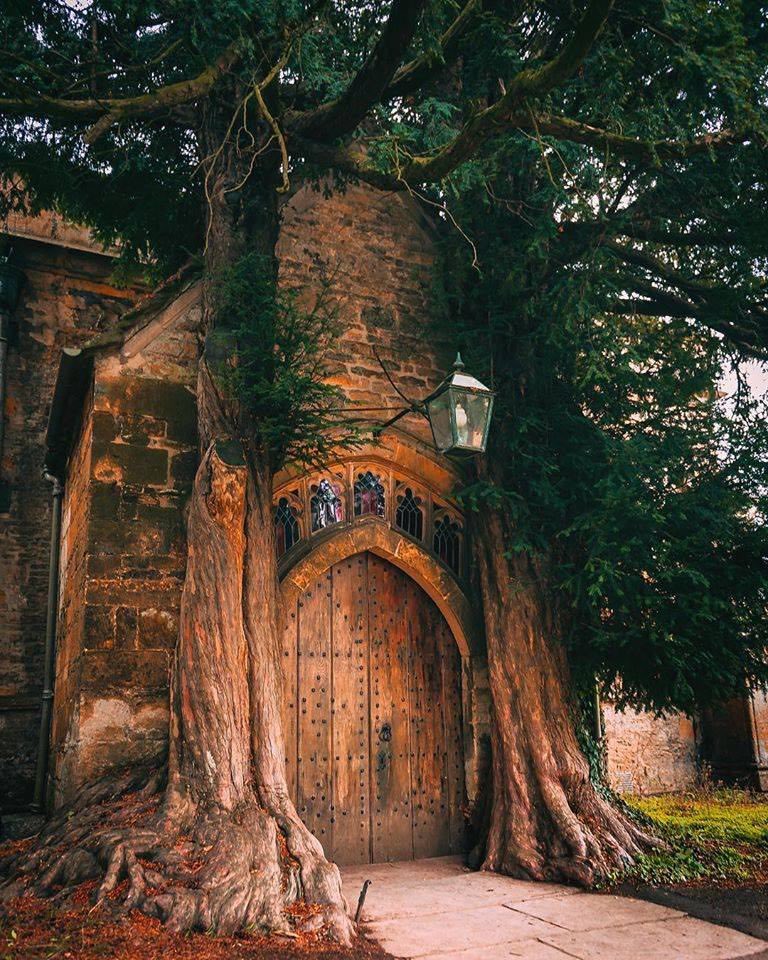 Old World Explorer tweet media