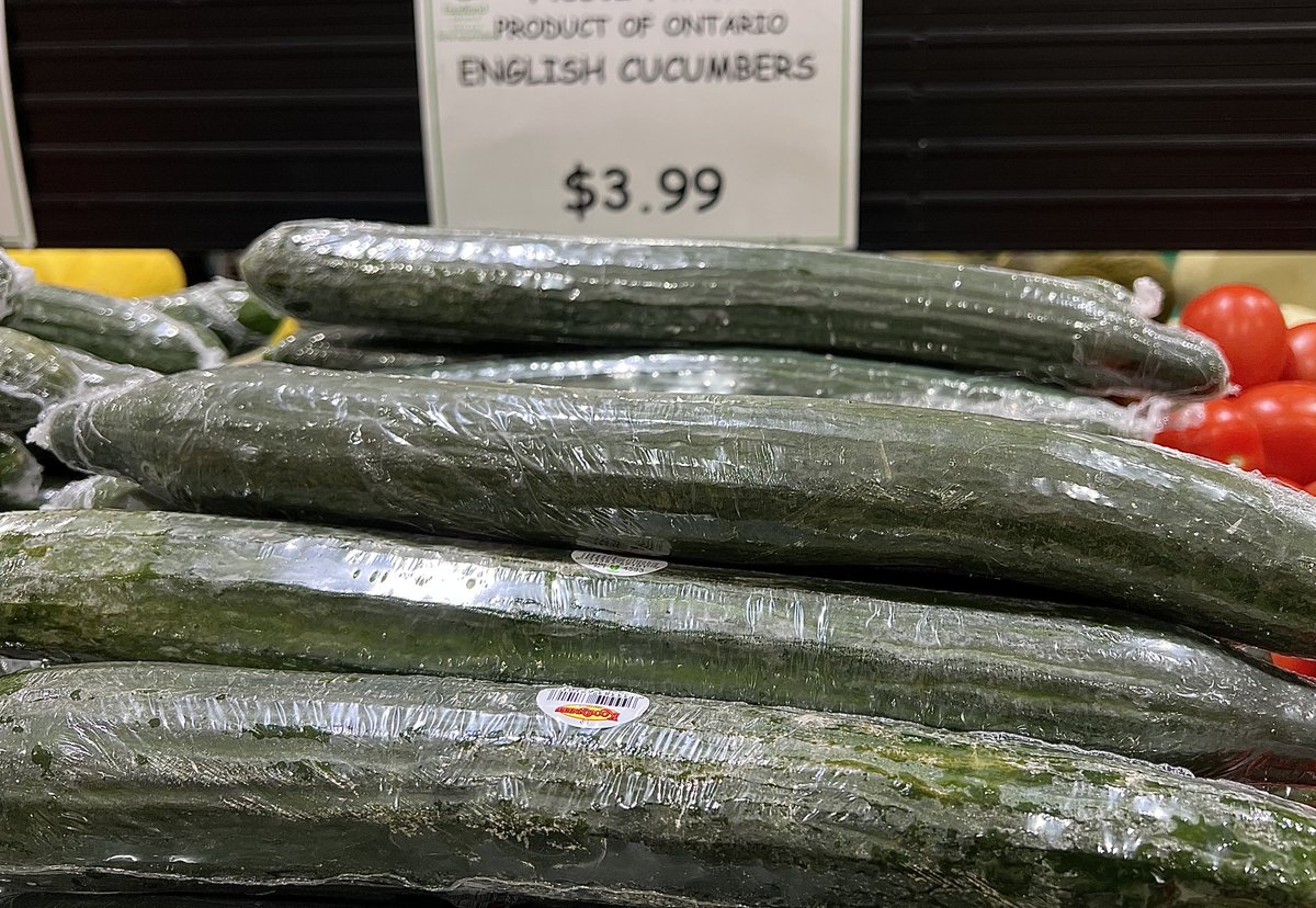 Terry McGurrin tweet media