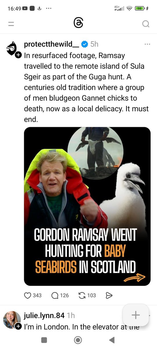 Tash tweet media