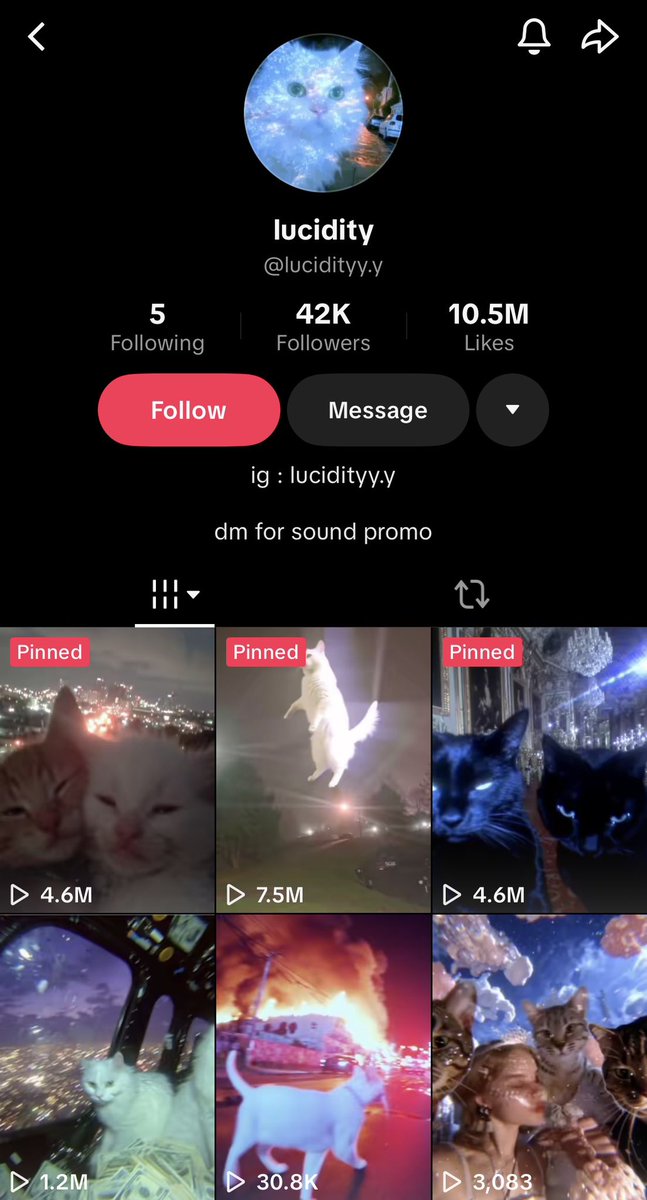 Lucidity is the quality of being clearly expressed, easy to understand, or having a clear mind

The latest Lucidity Cats video gained 1.2M views in just two days on TikTok

People on X have started using it as a reaction GIF, often pairing it with the caption “could be us”