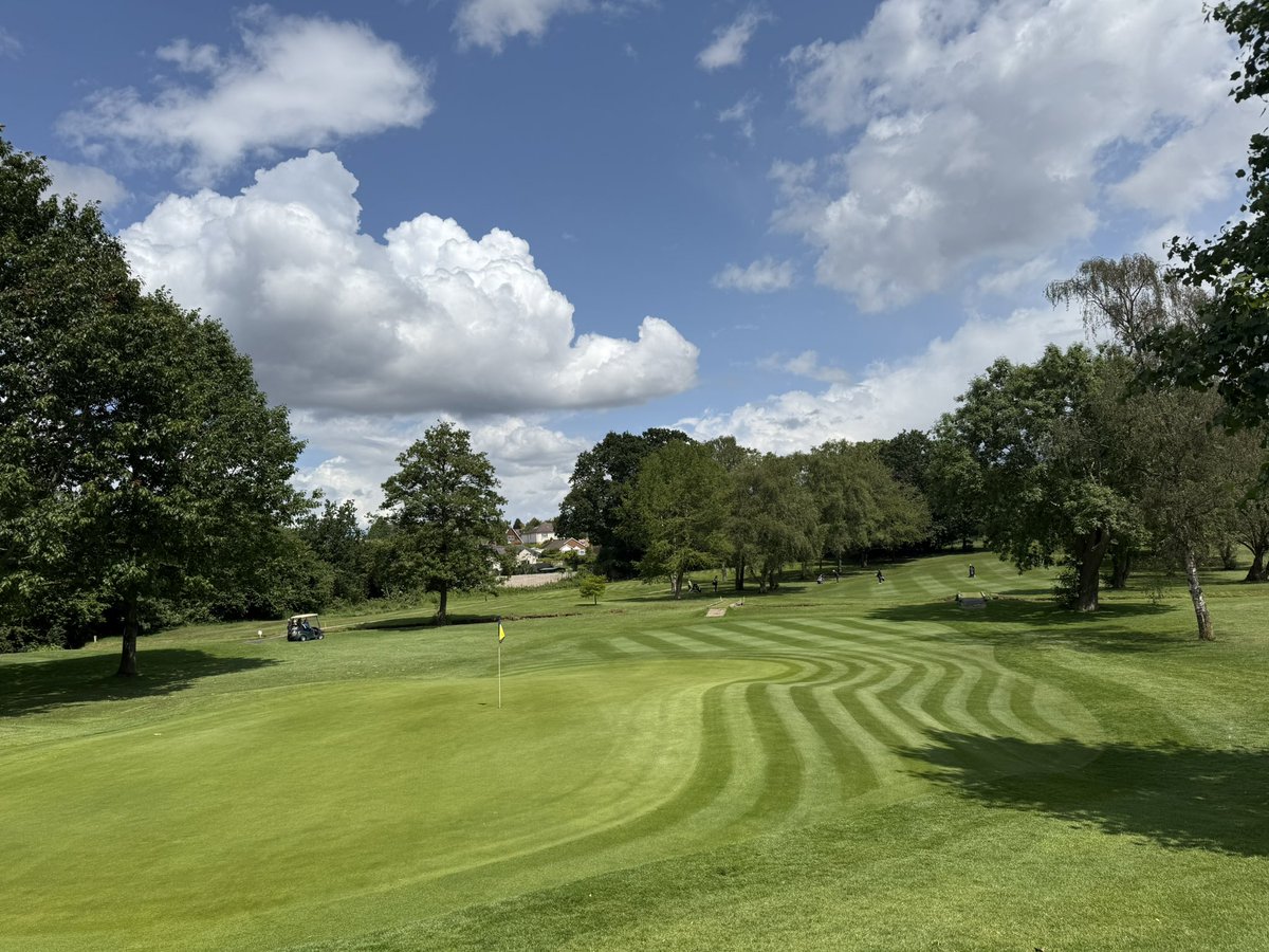 Chris Low tweet media