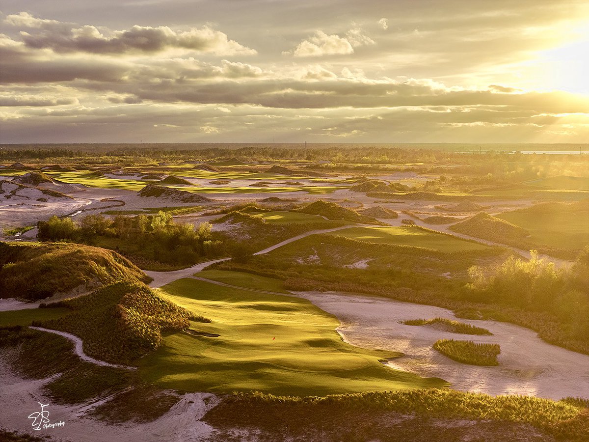 Evan Schiller tweet media