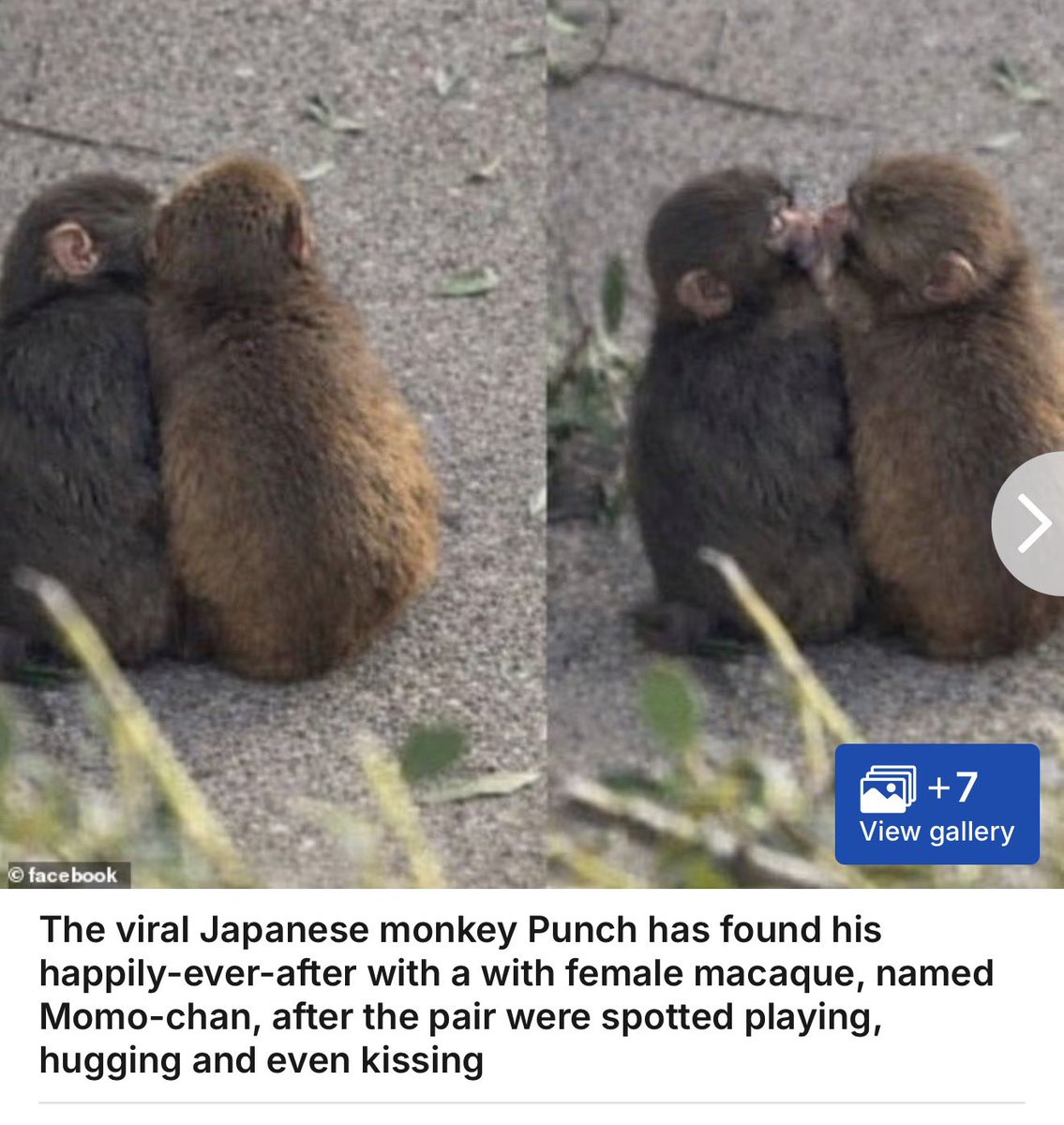 Jeremy Price tweet media