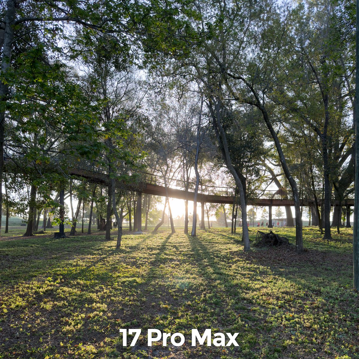 Andrew Clare tweet media