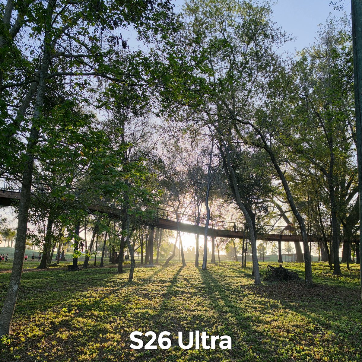 Andrew Clare tweet media