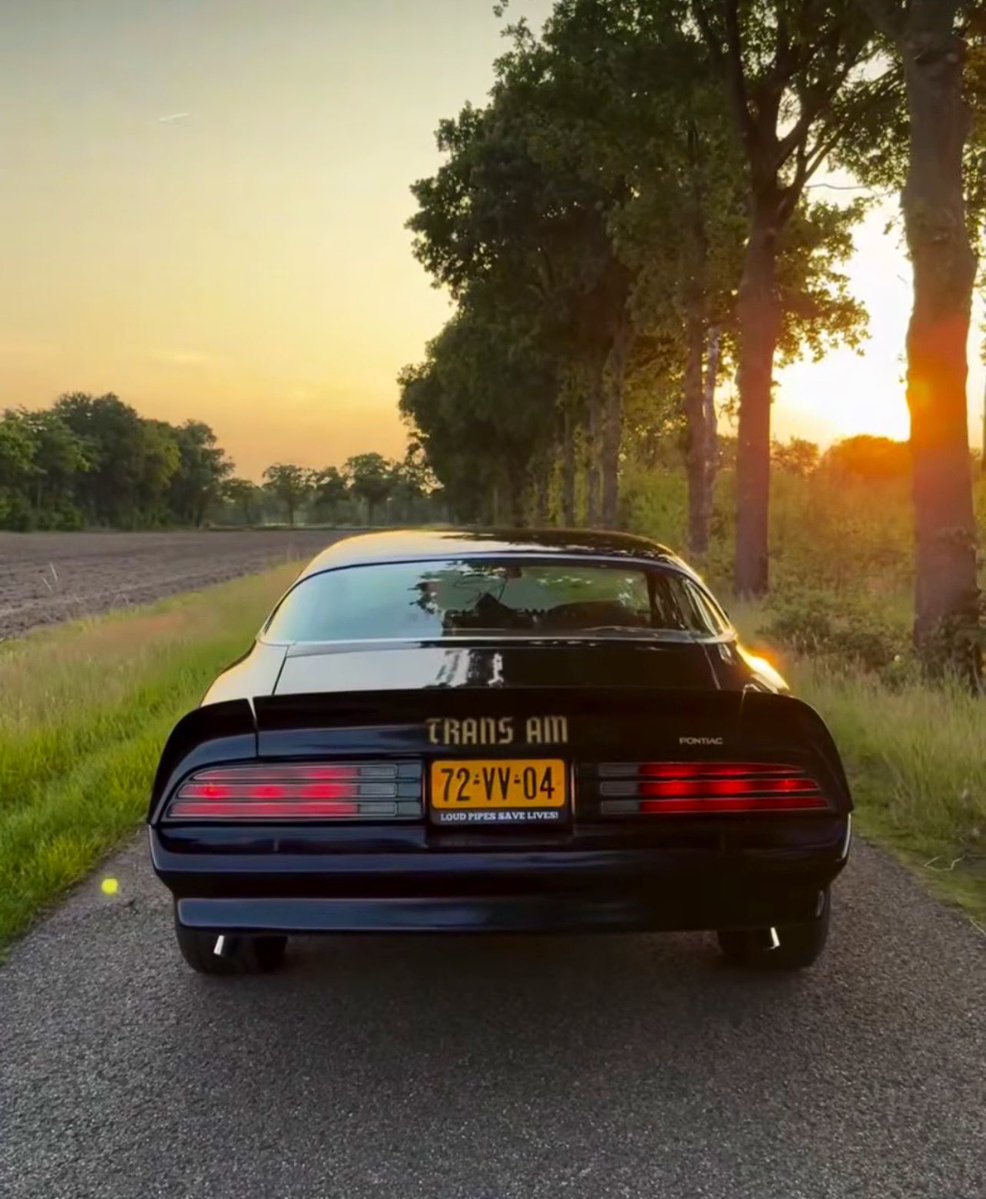 Bandit Run Ric tweet media