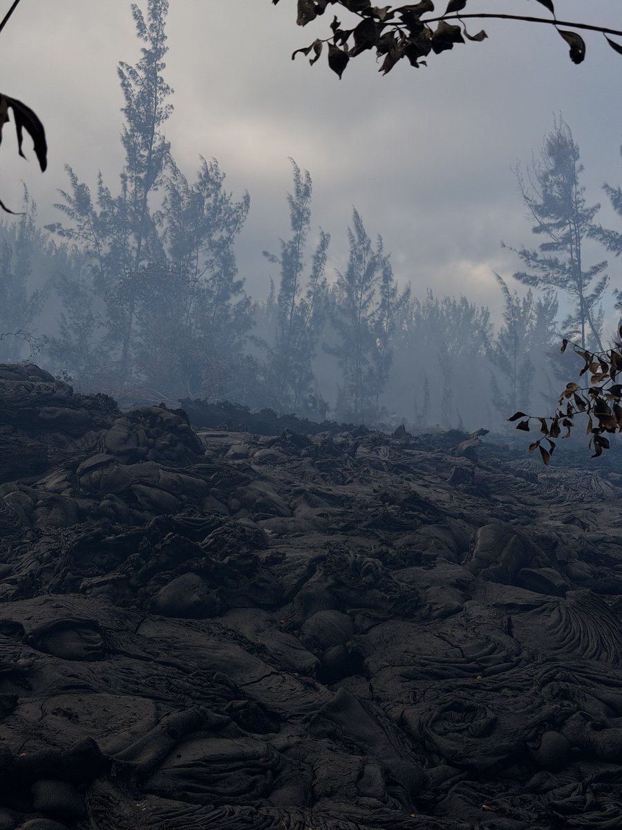 𝐓𝐨𝐧𝐲 tweet media