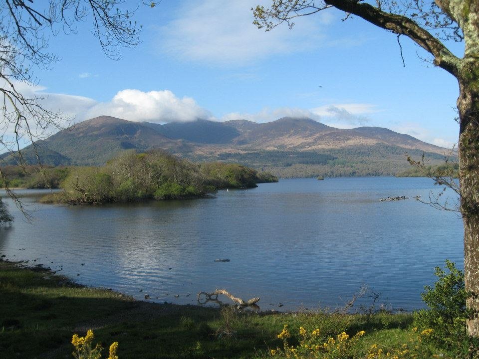 Debra Daugherty tweet media