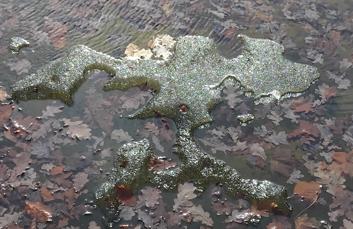 Torbjörn Andersson tweet media