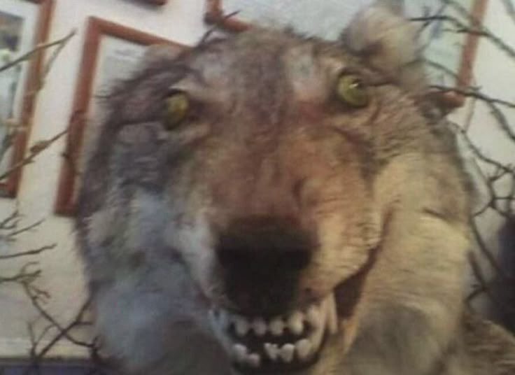 Jayda⁵⁵⁴ (@chilijody) on Twitter photo 