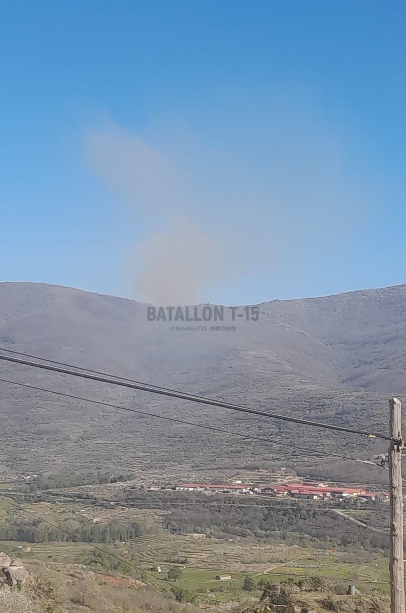 Batallón T-15 tweet media