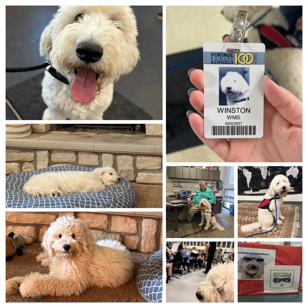 Portage West Middle School tweet media