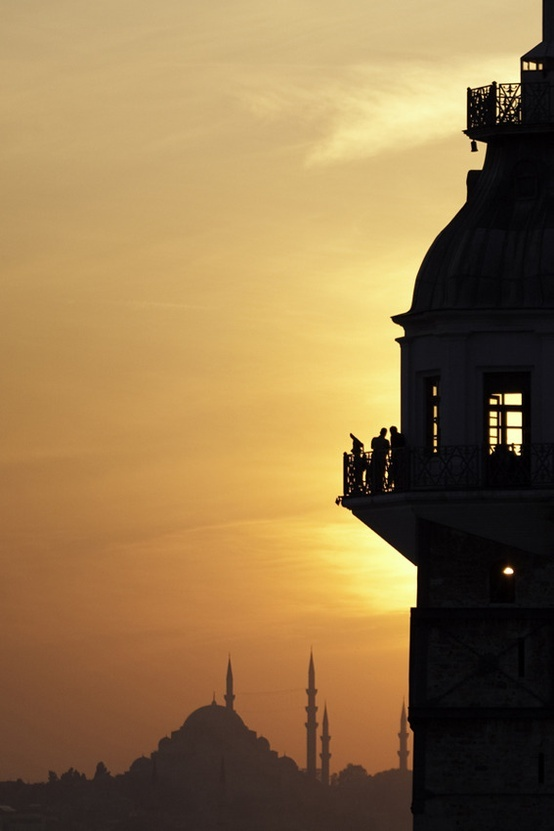 رحاب العلوية tweet media