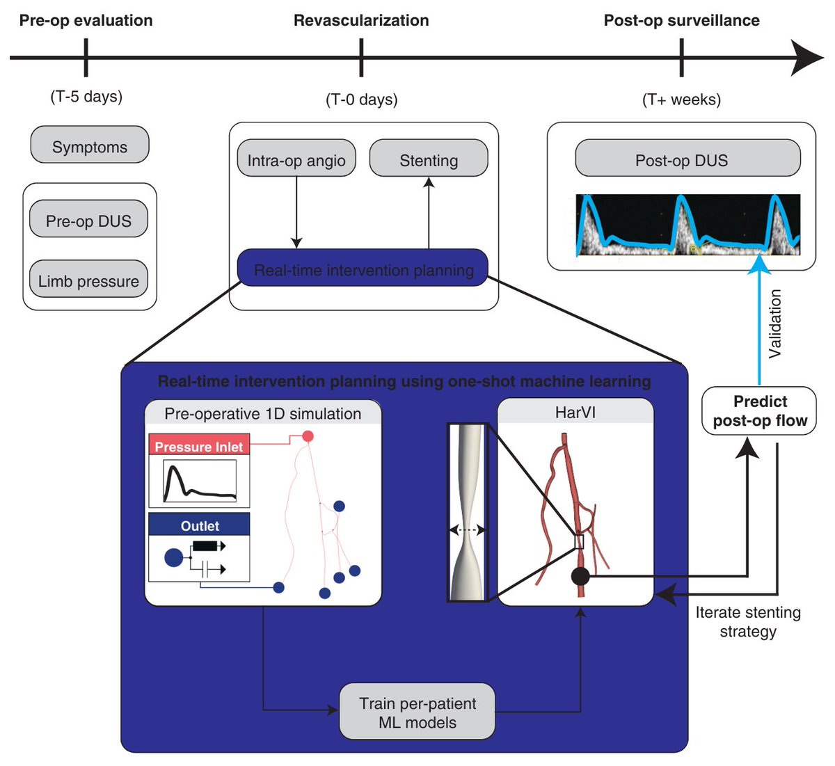 Randles Lab tweet media
