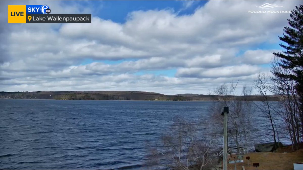 Payton Domschke tweet media